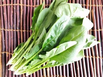 オーガニック野菜、有機野菜、無農薬野菜ってなにが違う？そして上手な保存法は？