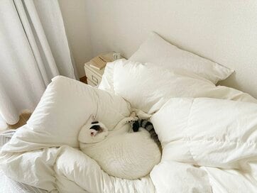 8年使った「布団」を初めてクリーニングに。手間なく清潔感が得られて値段にも納得