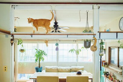 築50年以上の借家で5匹と暮らす工夫。DIYを駆使して動物にも人にも心地よく