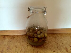 梅のエキスが出てきました