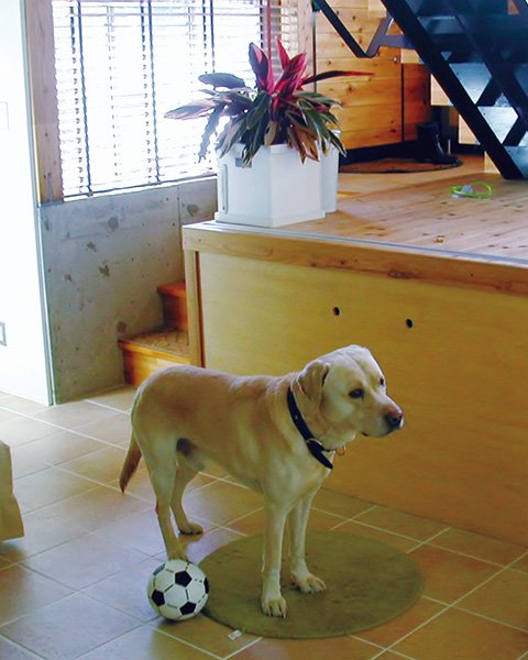 テラコッタ調タイルを使用