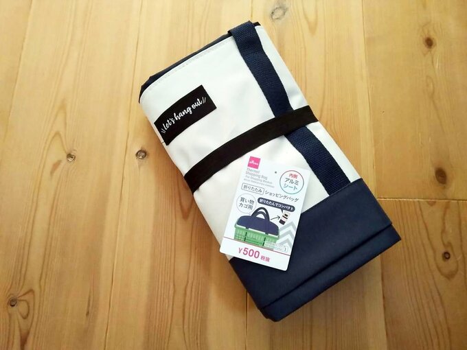 ダイソーのレジカゴバッグ