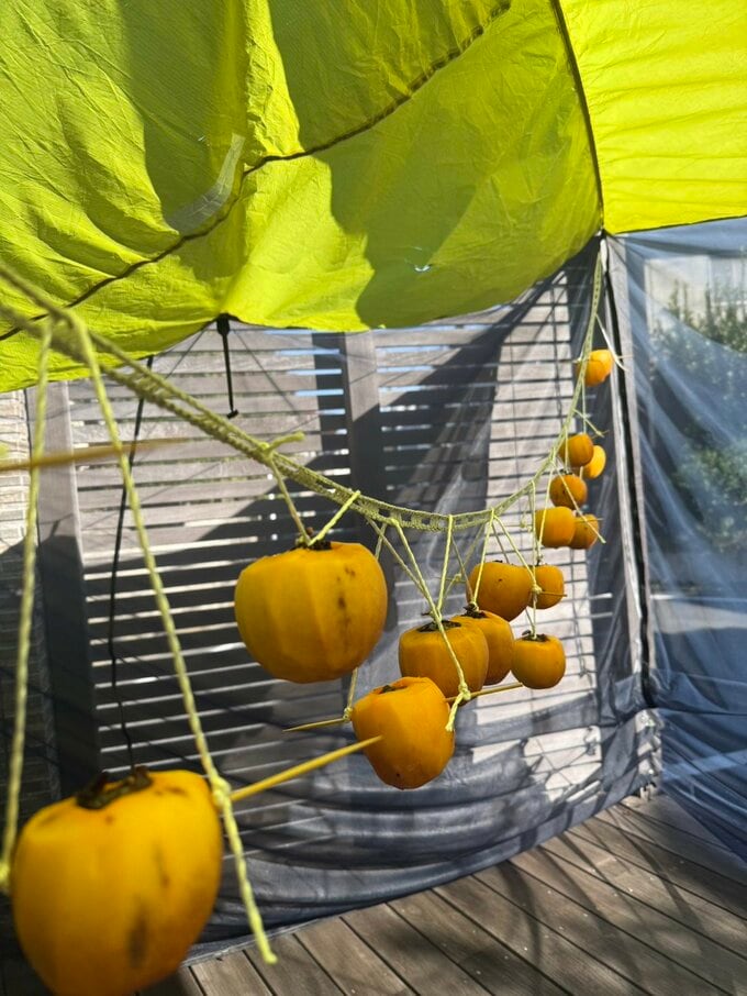 干してある柿
