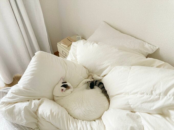 羽毛布団を宅配クリーニングに出す準備中のひとこま