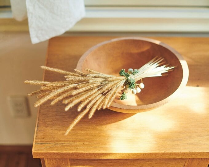 ドライのエノコログサ