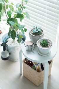 続く収納続かない収納