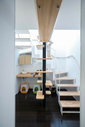 【戸建てリノベ事例】ストレスフリー！「イヌ・ネコ・人」が暮らしやすい家のアイディア集