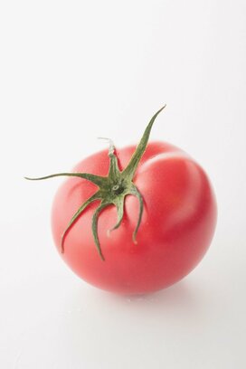 【ナス＆トマト】おいしい個体の見分け方と下ごしらえの基本