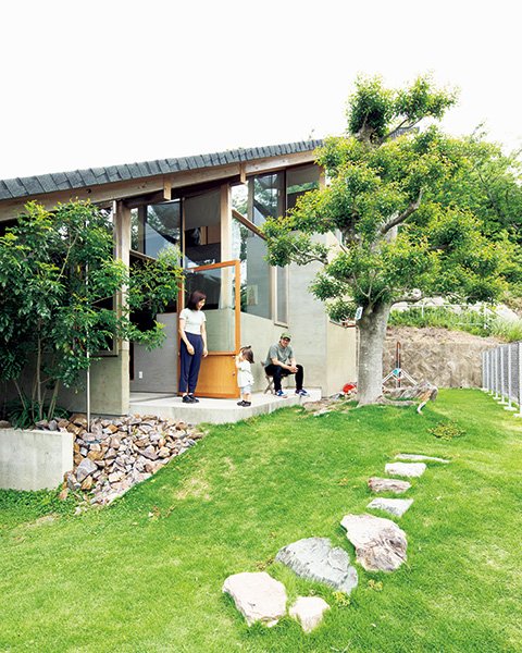 既存のクロガネモチの木を生かした南の庭