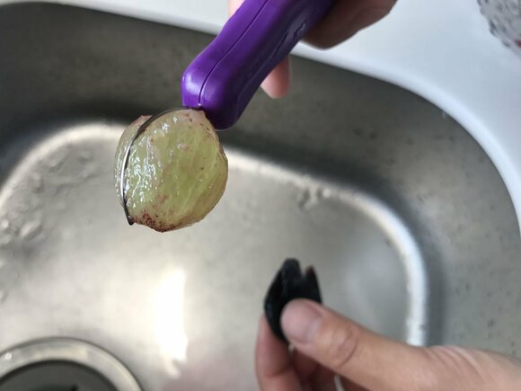 ブドウ使い方その3