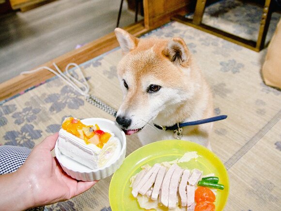 子どものころ、誕生日はたしかにパーティだった。