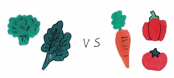イラスト野菜
