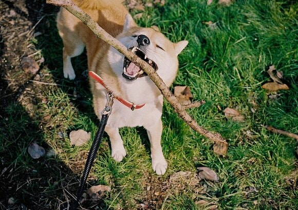 愛があふれている！