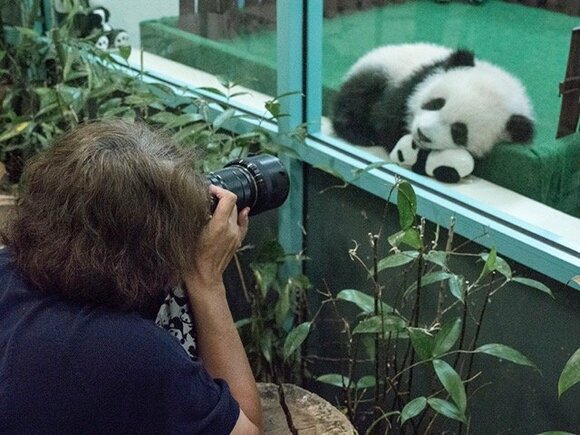 中国などでも撮影