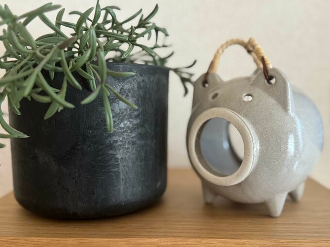 蚊取り線香と観葉植物
