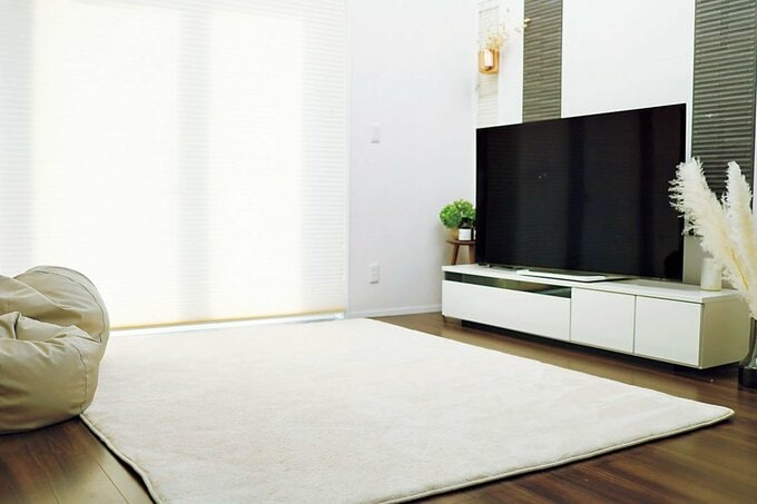 テレビとカーペット