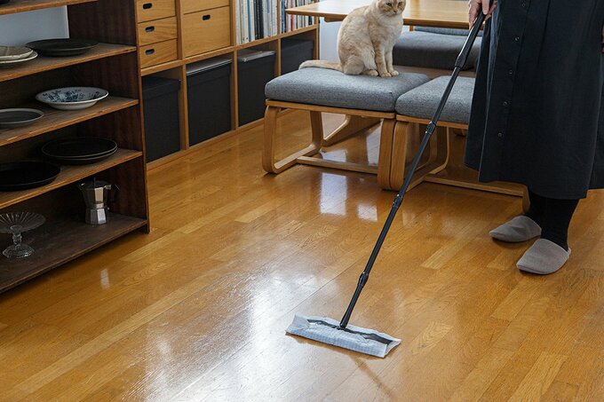 掃除