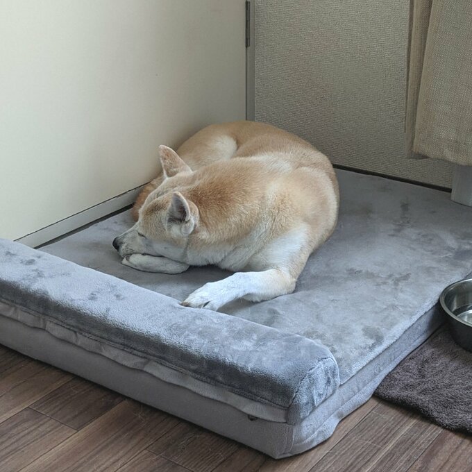 おなかもいっぱいになって大満足。少し横になる