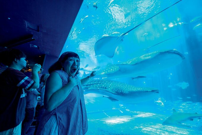 ジンベエザメやナンヨウマンタが泳ぐ「沖縄美海水族館」の巨大水槽