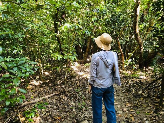 ジャングルに女性