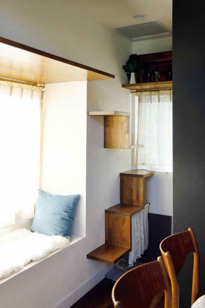 キャットウォーク&ステップ