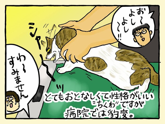 漫画家・大盛のぞみさん“猫まみれ”の毎日。5匹の保護猫のやんちゃ度は