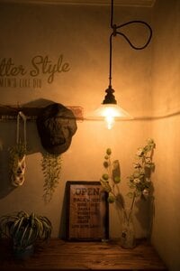 照明も玄関の大事なアクセント