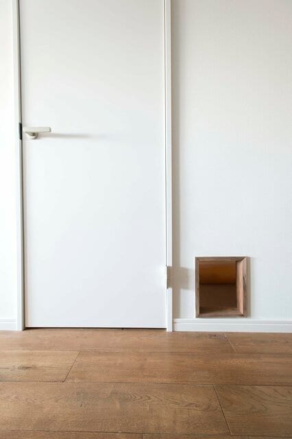 遊び場とインテリアが一体化！姉妹ネコ2匹が仲良く暮らせる家のヒミツは…