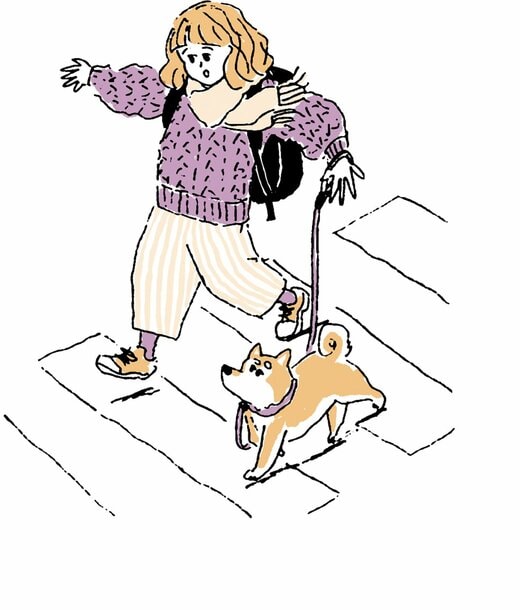 犬と横断歩道を渡る女性のイラスト