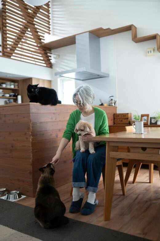 りさねーぜさん