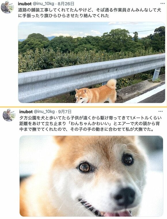 inubotのTwitter