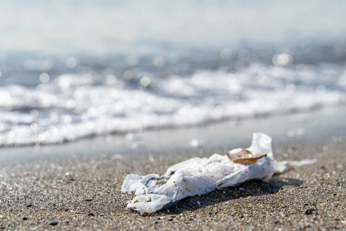 浜辺にゴミ