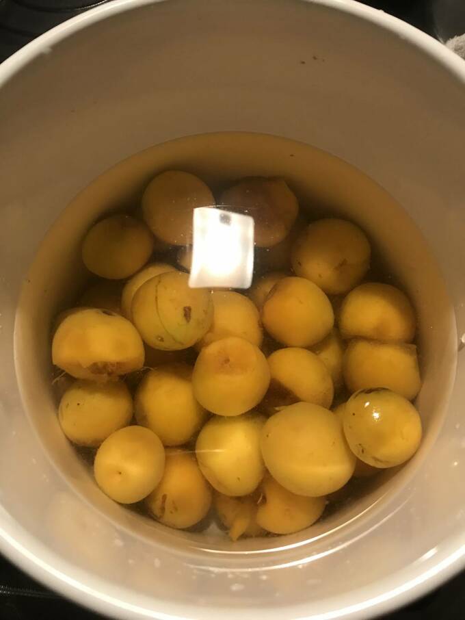 梅とたっぷりの水を鍋の中に入れた様子