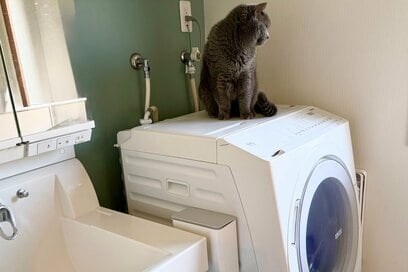 生乾き臭を防ぐカギは「出しっぱなし」だった。意外と見落としがちな3つの洗濯習慣