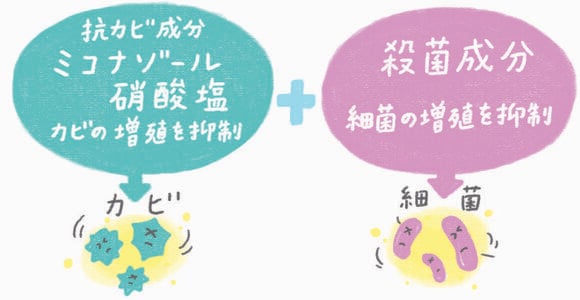 ダブルの抗菌成分配合