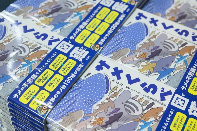 書籍『サメくらべ図鑑』が並んだ風景