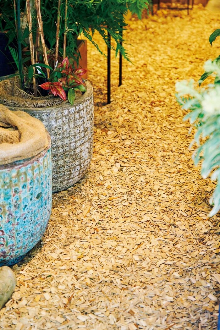 文筆家・大平一枝さんが見つけた、心強い相談相手がいる小さな森のよう