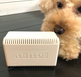 臭い玄関は、家の印象が最悪！おしゃれで効果的な消臭グッズ3選