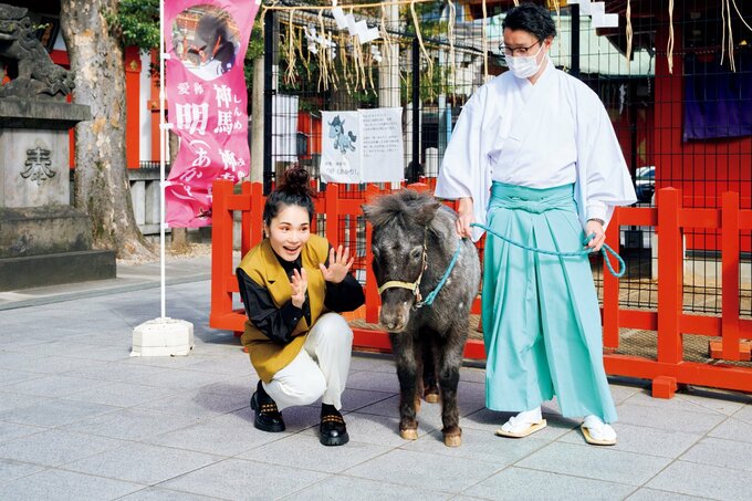 神田明神の神馬あかりちゃん