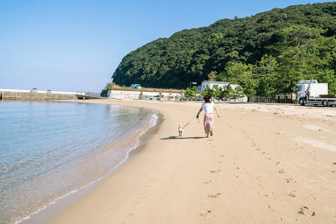 海辺を走る犬と女性