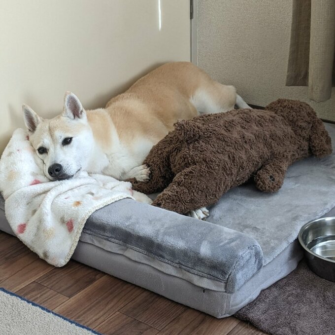 ふうちゃんの親友（？）友ちゃんと