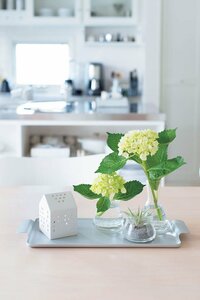 アルミのトレーにのせたり