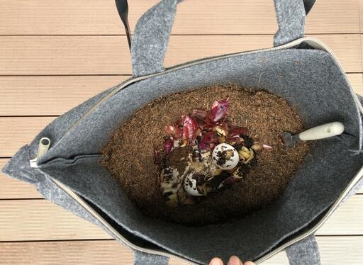 コンポストの中を上から見る