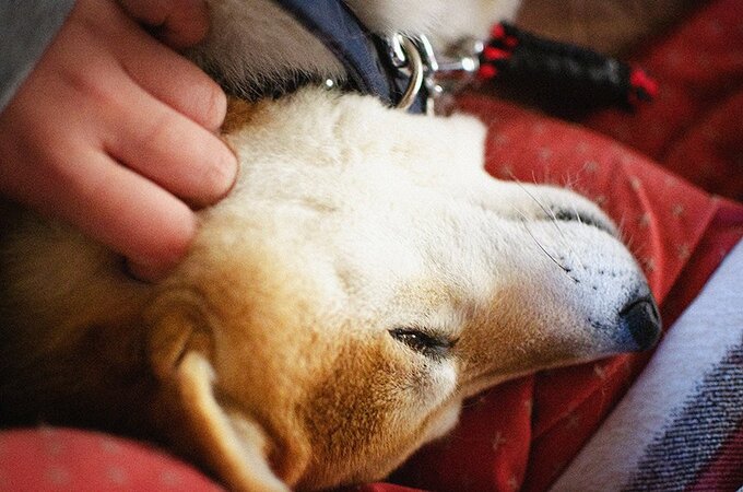 なんてぜいたくな時間だろう