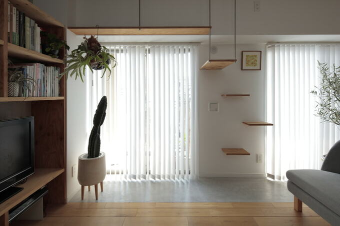 窓際のキャットウォーク