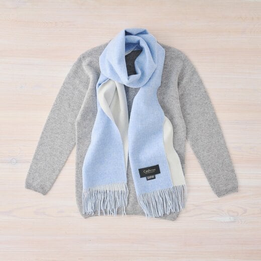 ・ライトブルー×ホワイト