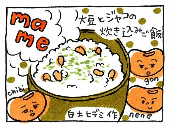 豆とジャコを使った炊き込みご飯