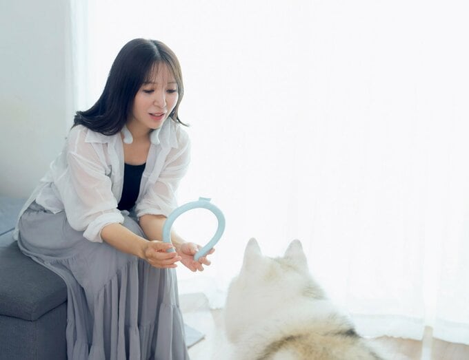 アイスリングを犬につけようとする女性