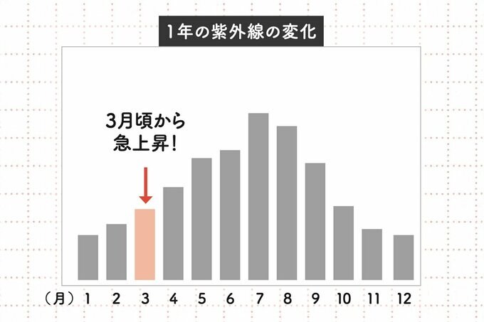 1年の紫外線量の変化を示した棒グラフ