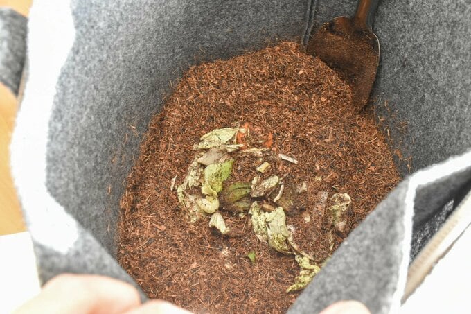 コンポストの中身